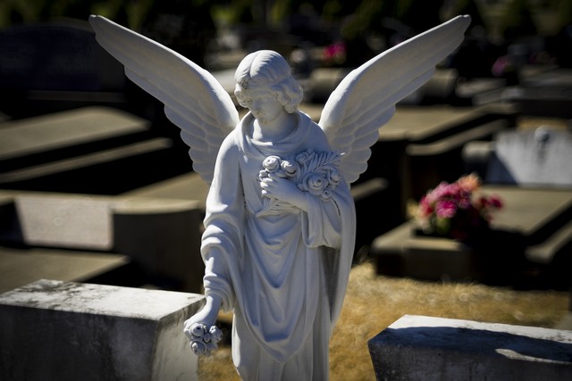 Angel Of The Morning - Photography by David Willis